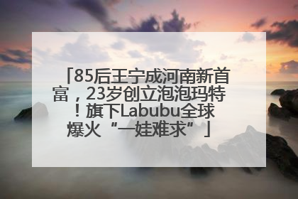85后王宁成河南新首富，23岁创立泡泡玛特！旗下Labubu全球爆火“一娃难求”