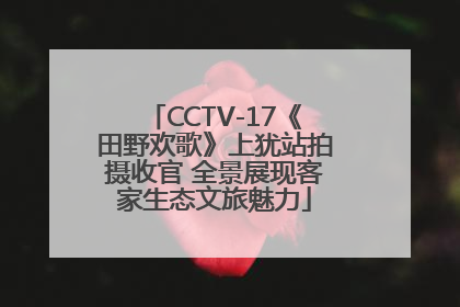 CCTV-17《田野欢歌》上犹站拍摄收官 全景展现客家生态文旅魅力