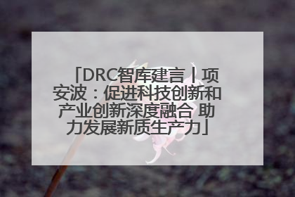 DRC智库建言丨项安波：促进科技创新和产业创新深度融合 助力发展新质生产力
